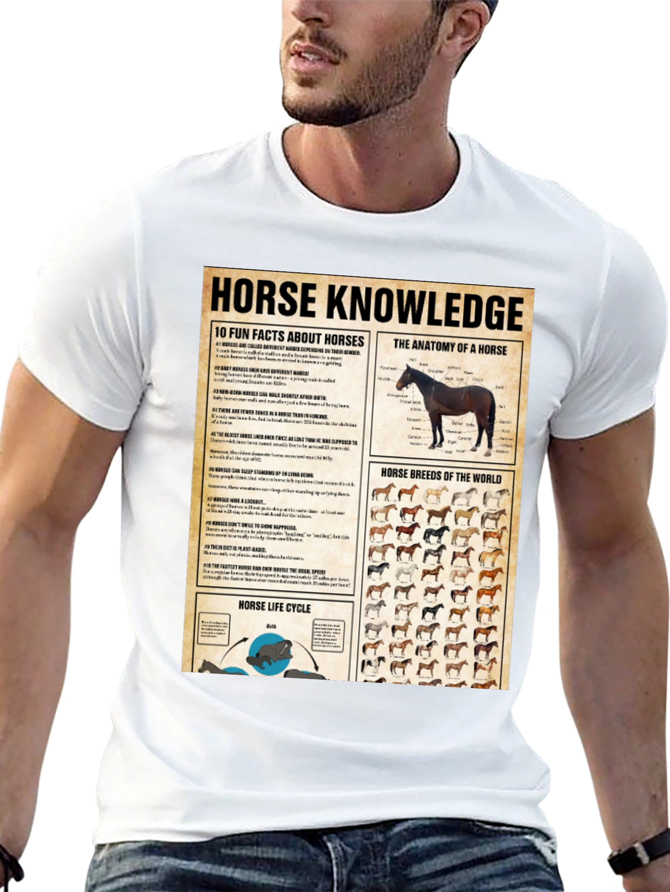 Horse Knowledge Black T-Shirt