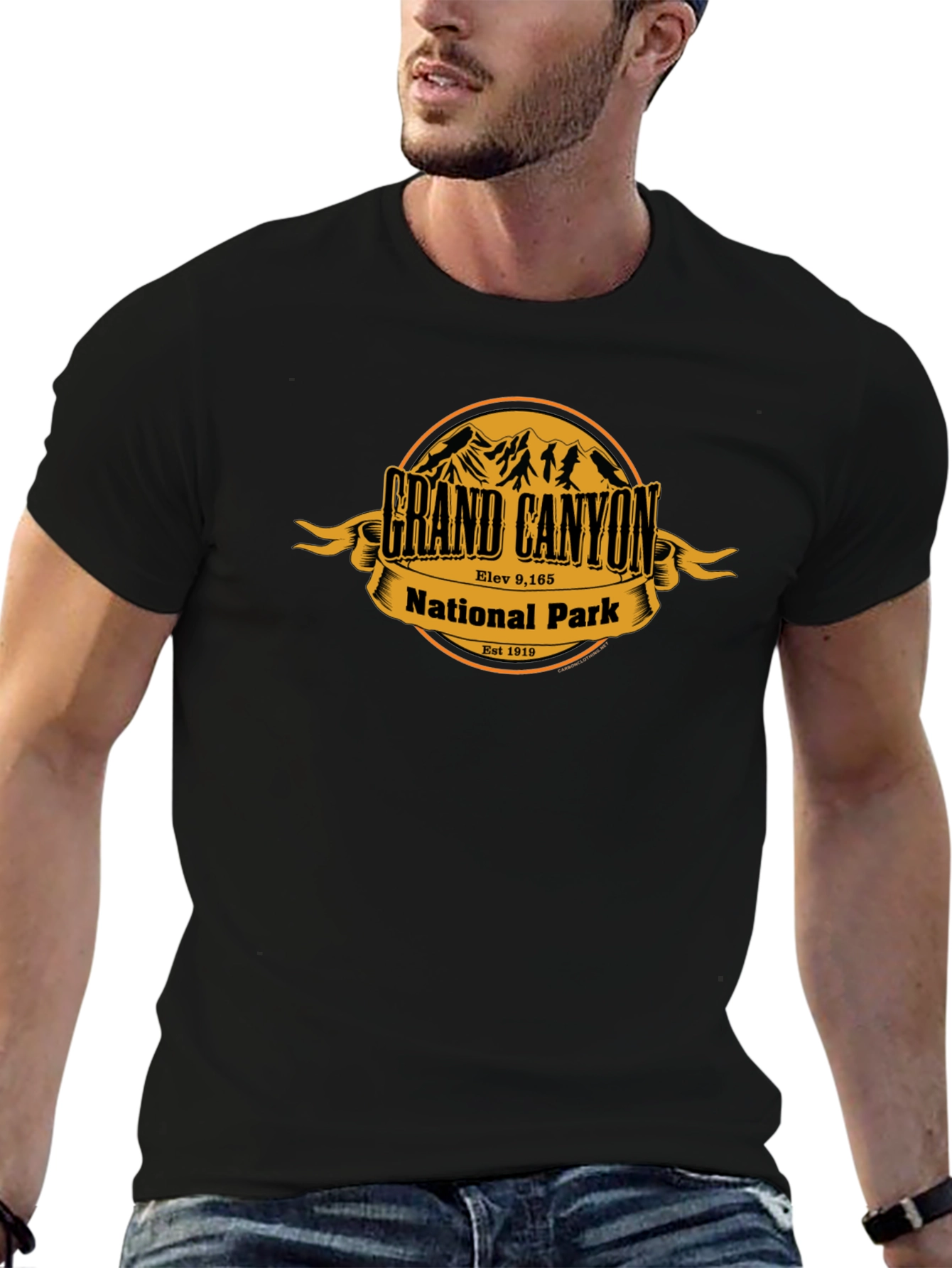 Grand Canyon National Park Black T-Shirt