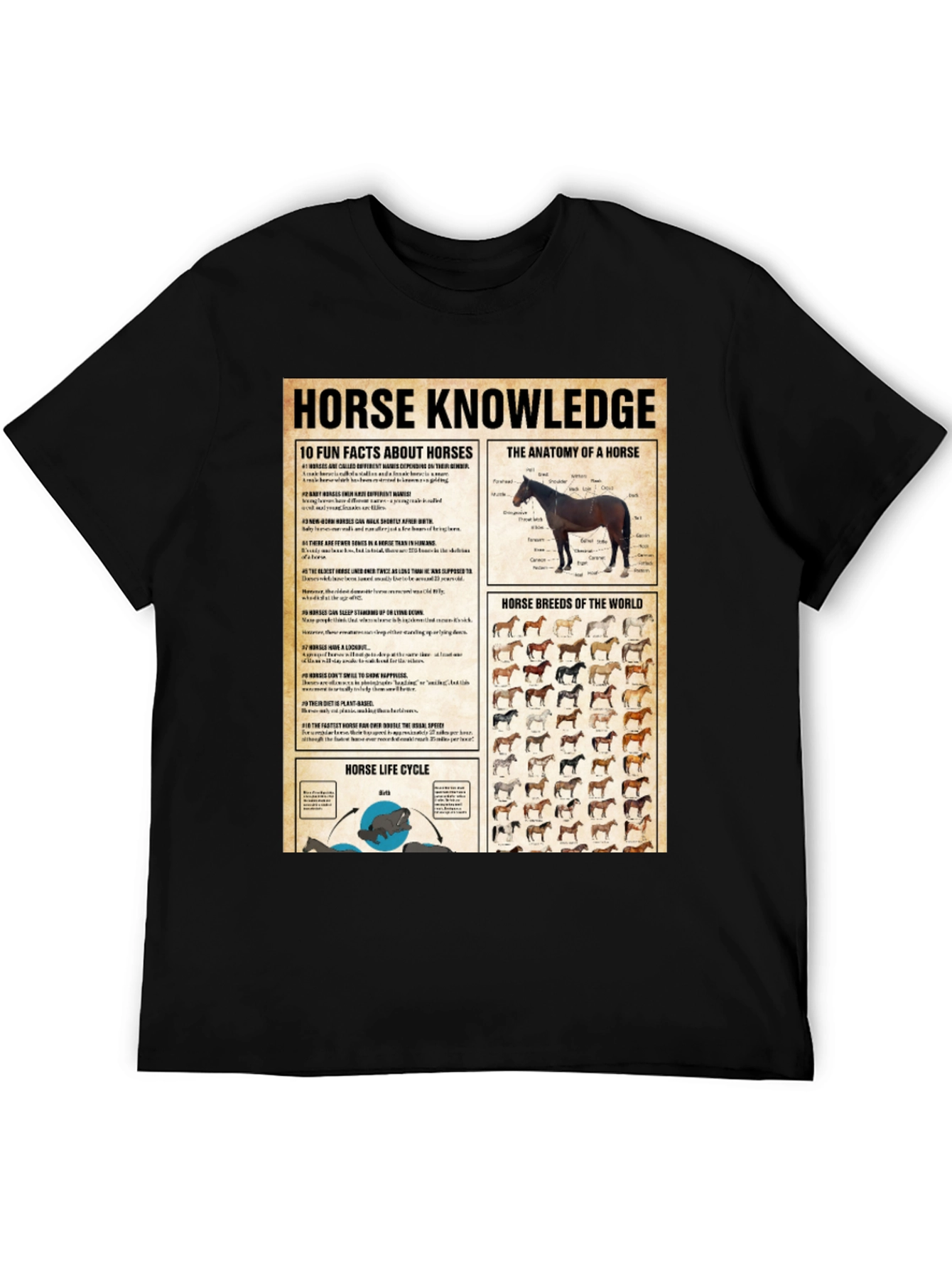 Horse Knowledge Black T-Shirt