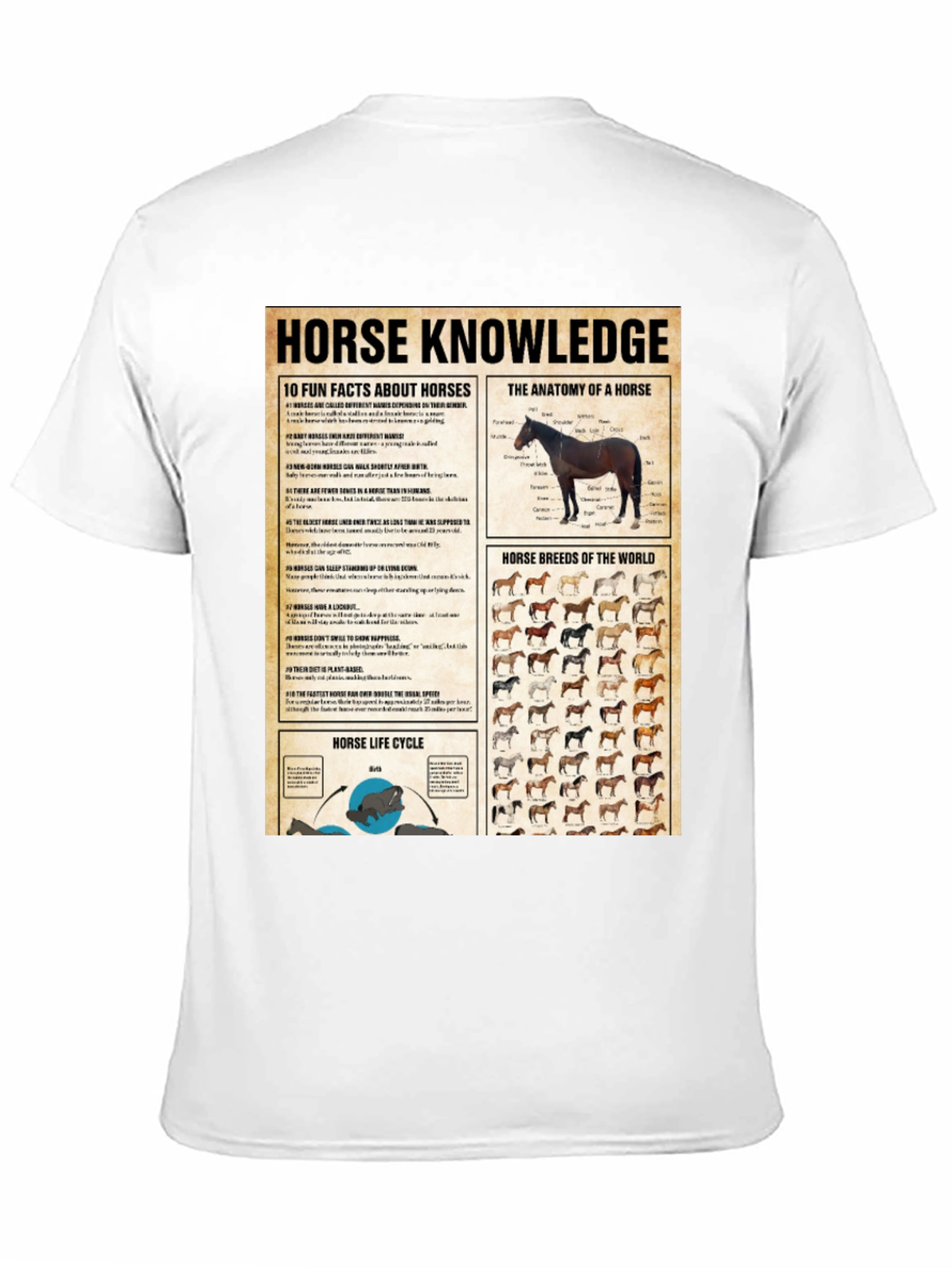 Horse Knowledge Black T-Shirt
