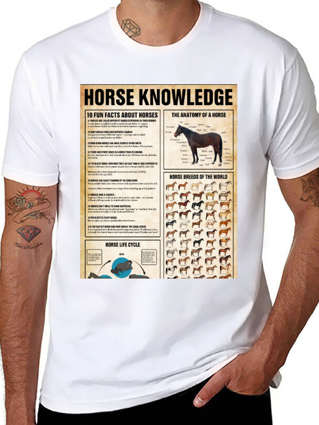 Horse Knowledge Black T-Shirt