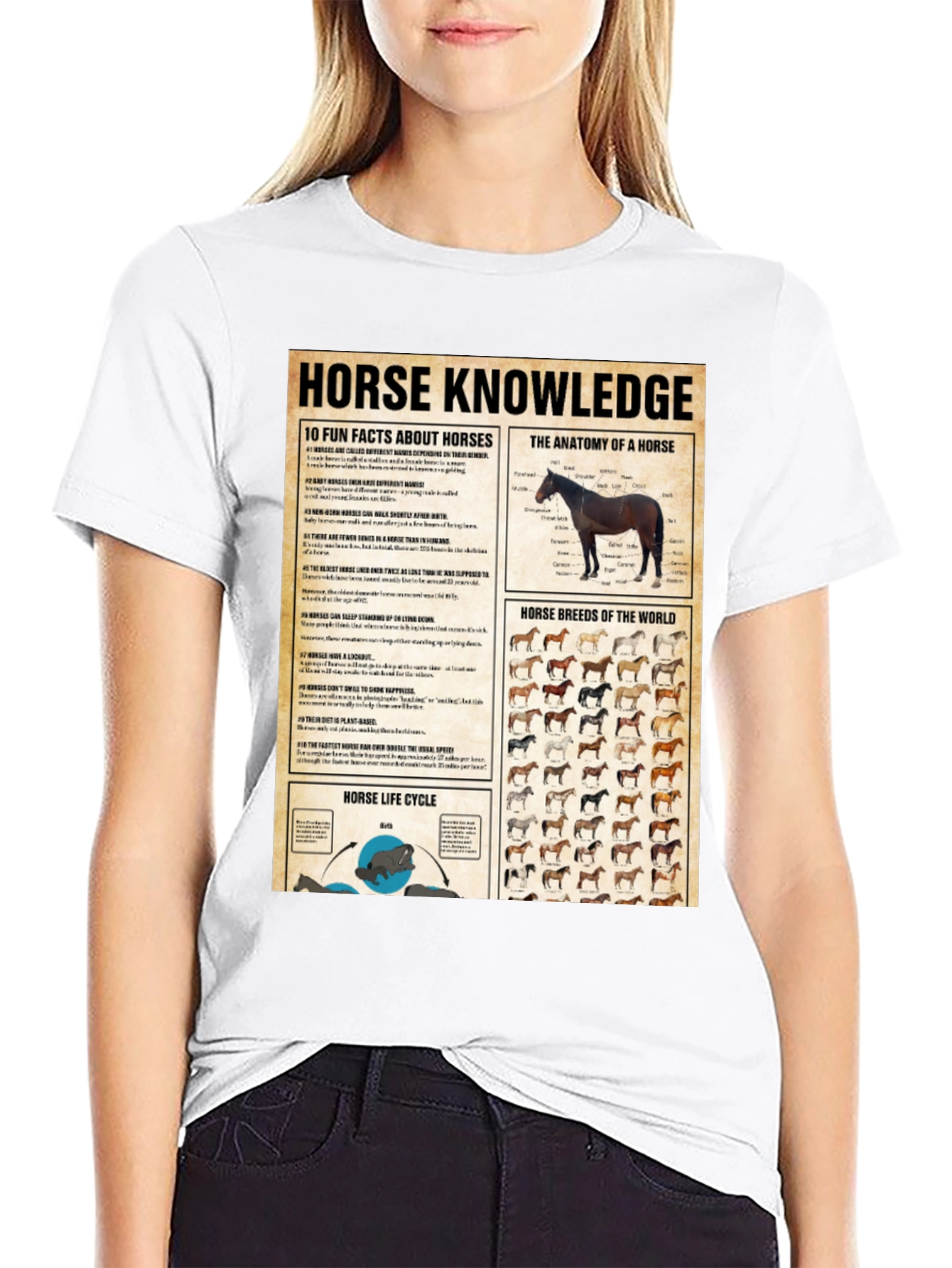 Horse Knowledge Black T-Shirt