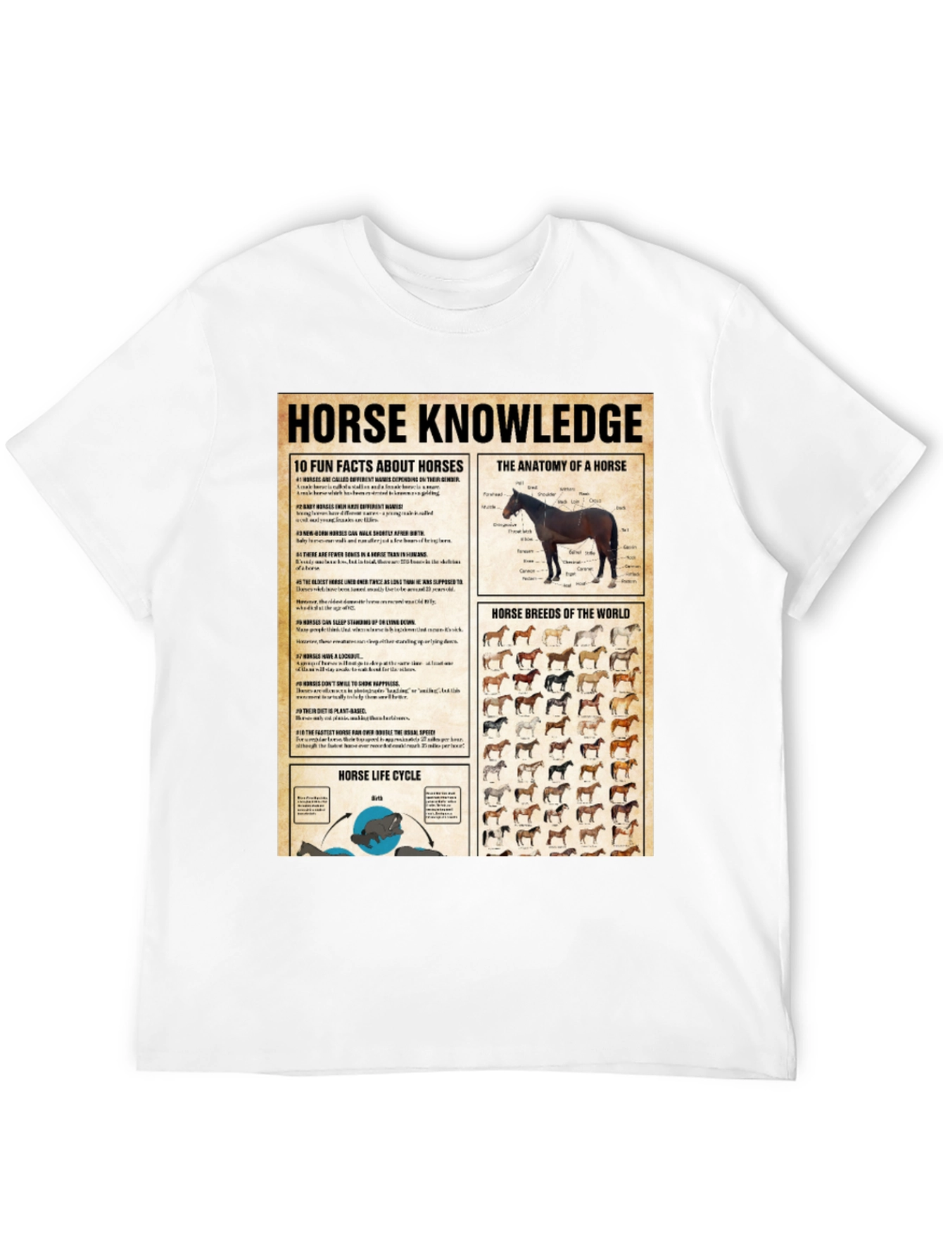 Horse Knowledge Black T-Shirt
