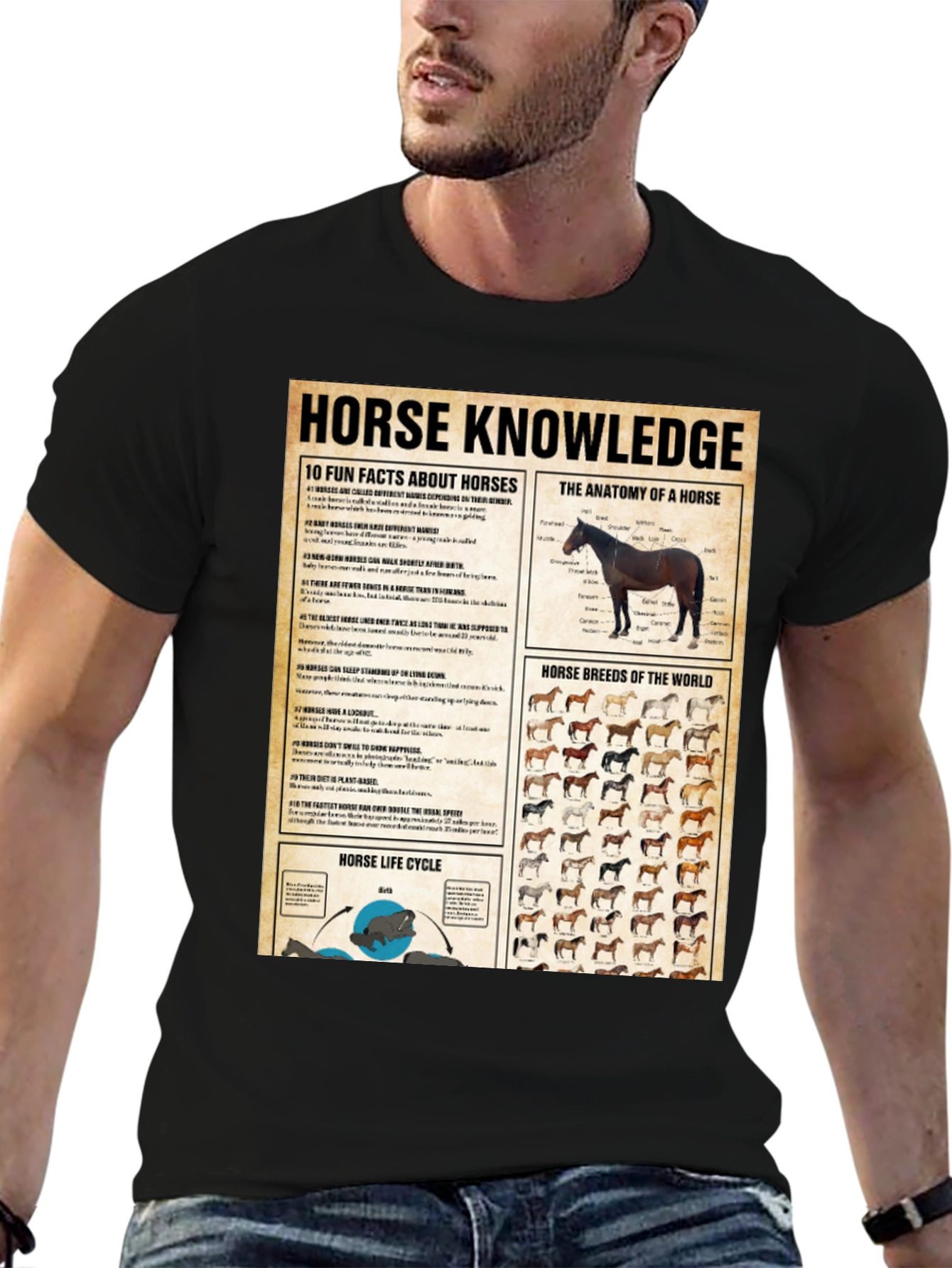 Horse Knowledge Black T-Shirt