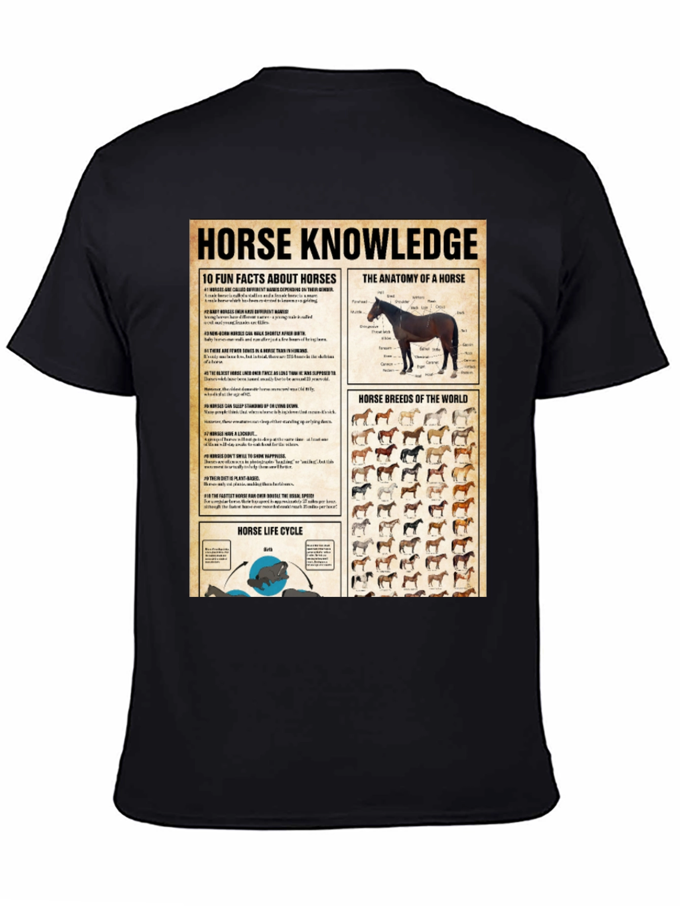 Horse Knowledge Black T-Shirt