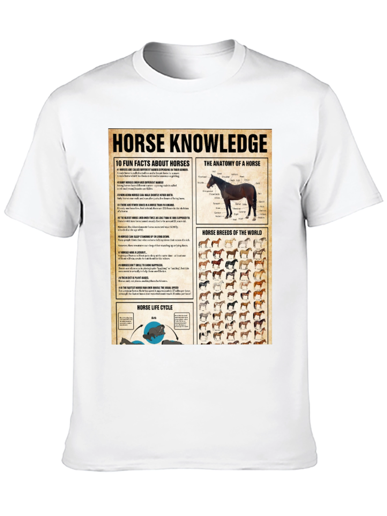 Horse Knowledge Black T-Shirt