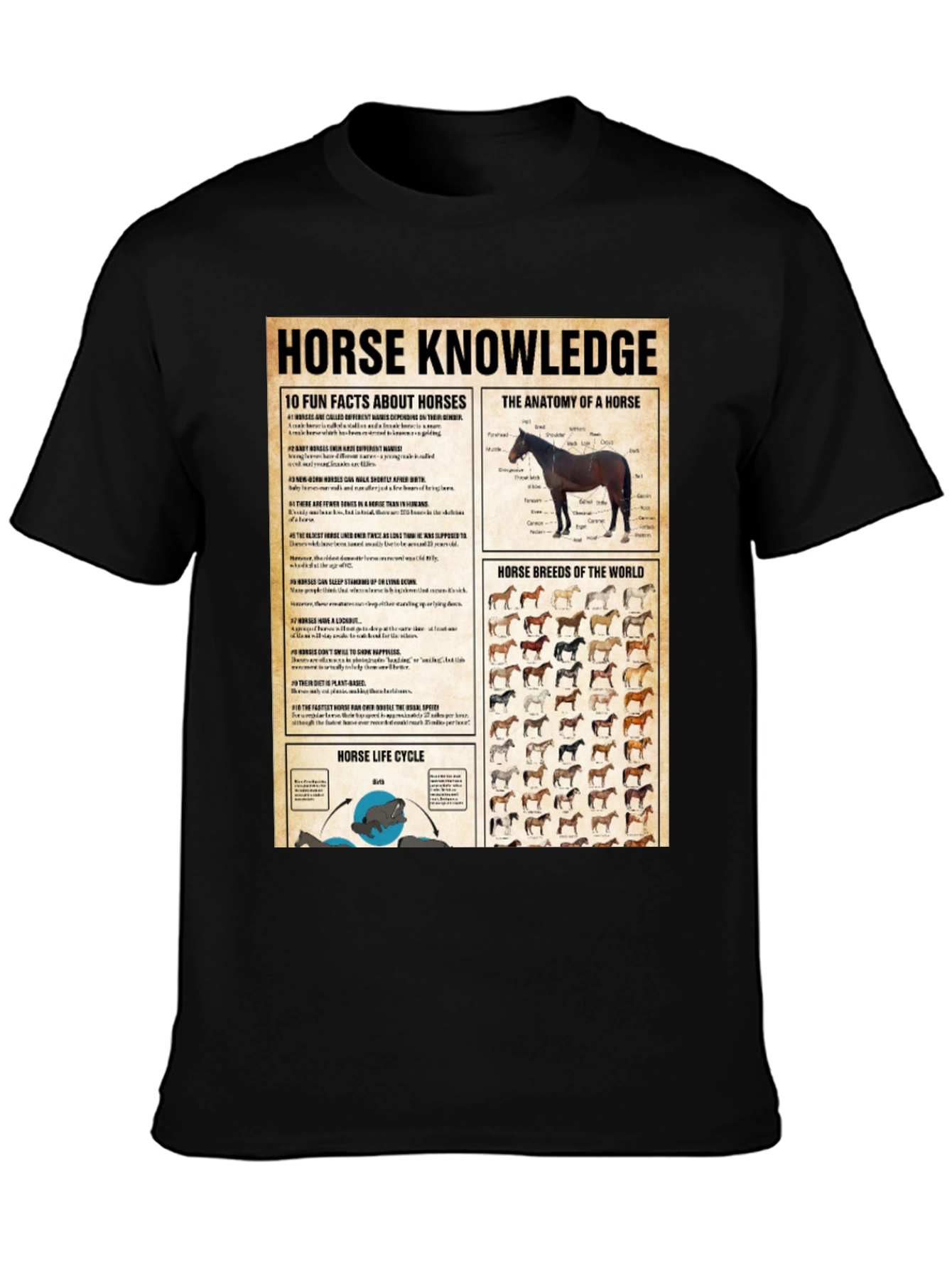 Horse Knowledge Black T-Shirt