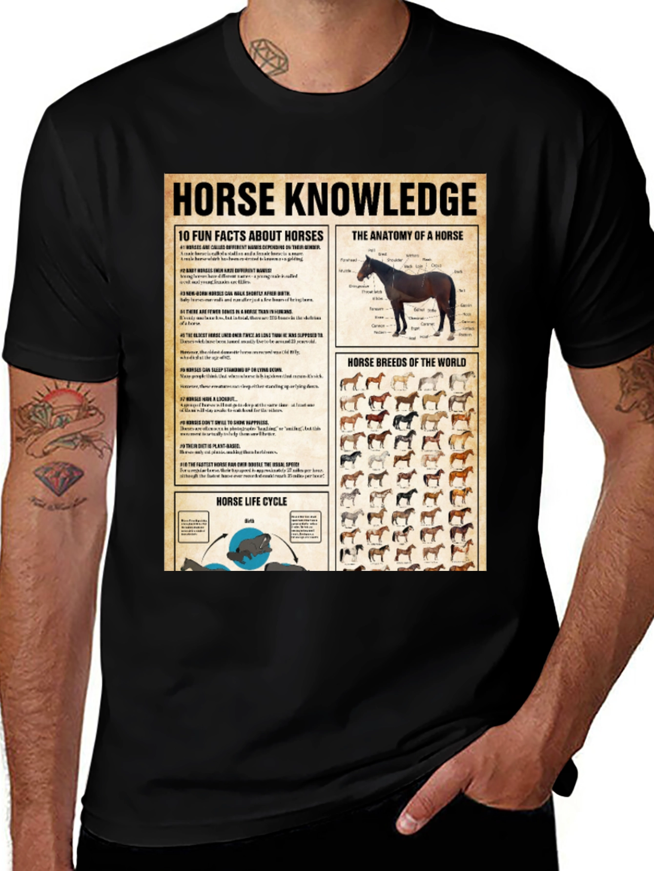 Horse Knowledge Black T-Shirt