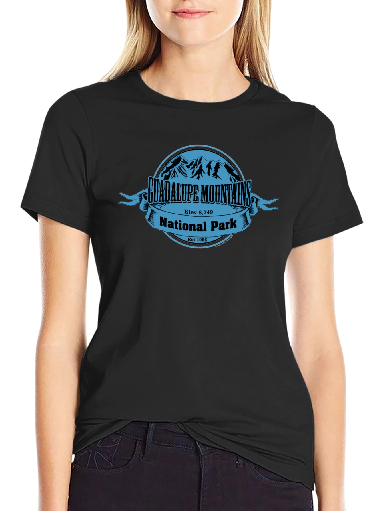 Guadalupe Mountains National Park T-Shirt