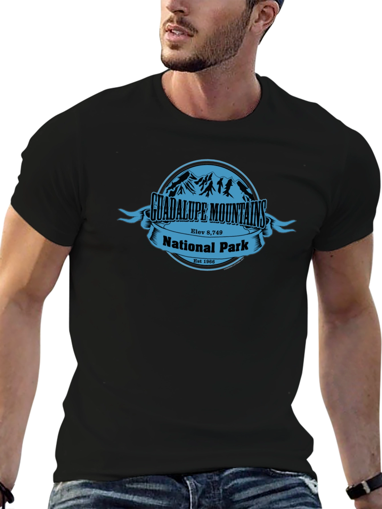 Guadalupe Mountains National Park T-Shirt