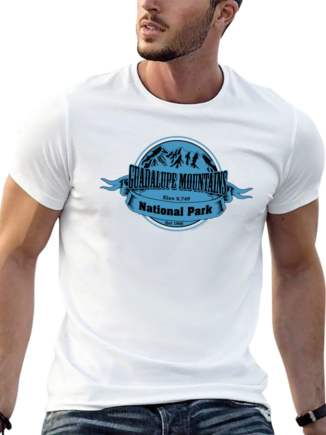 Guadalupe Mountains National Park T-Shirt