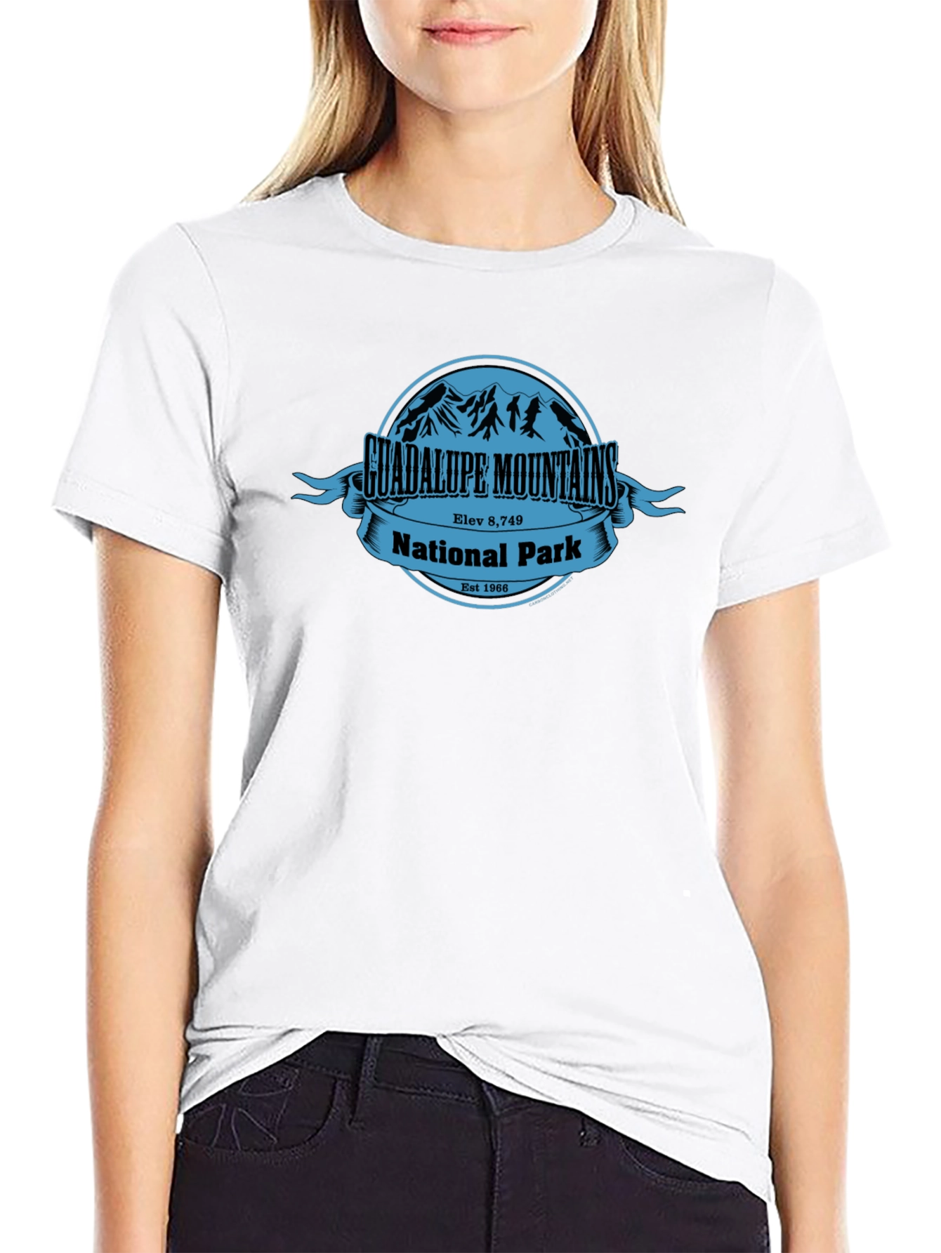 Guadalupe Mountains National Park T-Shirt
