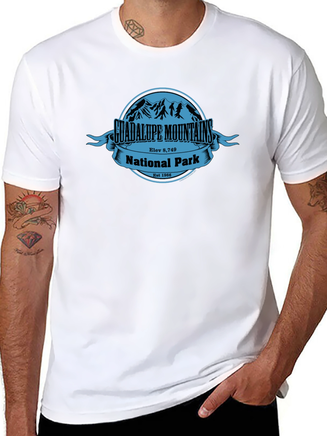 Guadalupe Mountains National Park T-Shirt